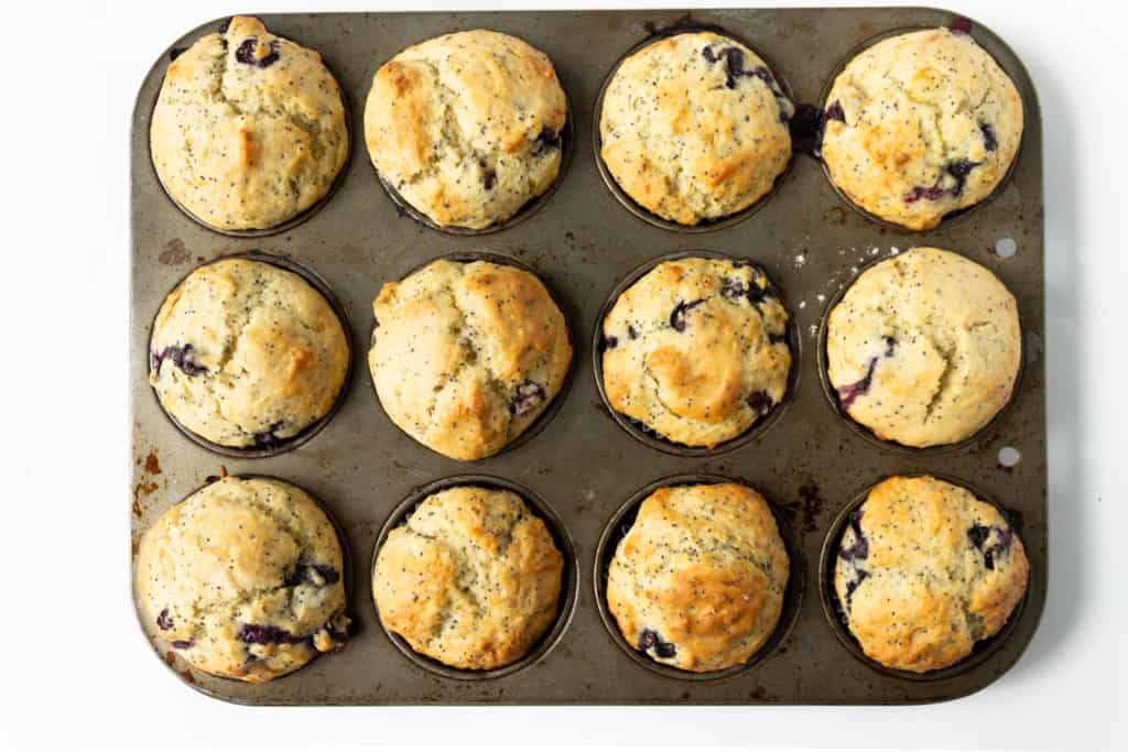 Blueberry Lemon Poppy Seed Muffins Recipe - Hot Beauty Health